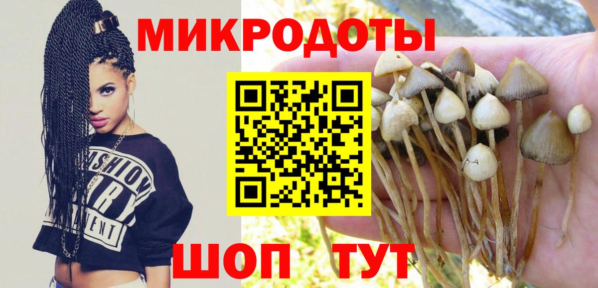 Галлюциногенные грибы мицелий  Псилоцибиновые грибы MAGIC MUSHROOMS  Чернушка  купить   Вход с VPN 
