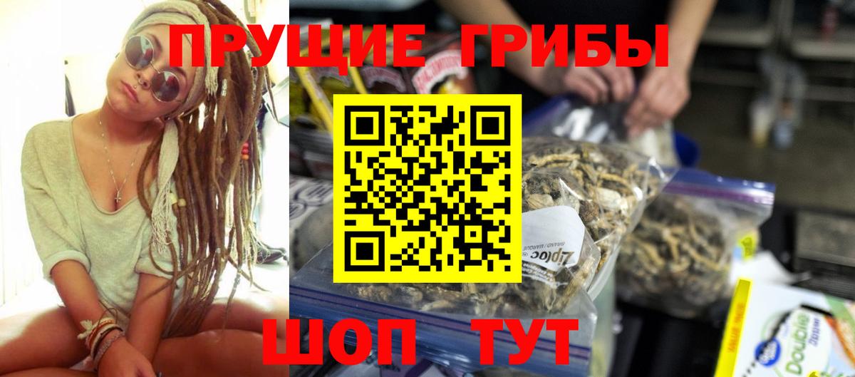 Псилоцибиновые грибы прущие грибы Чернушка
